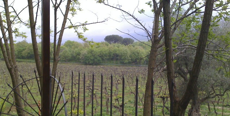 "Preludio e L'Infinito" dalla Cantata Luterana