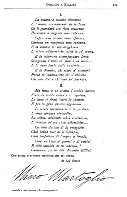 Nino Martoglio, Omaggio a Bellini